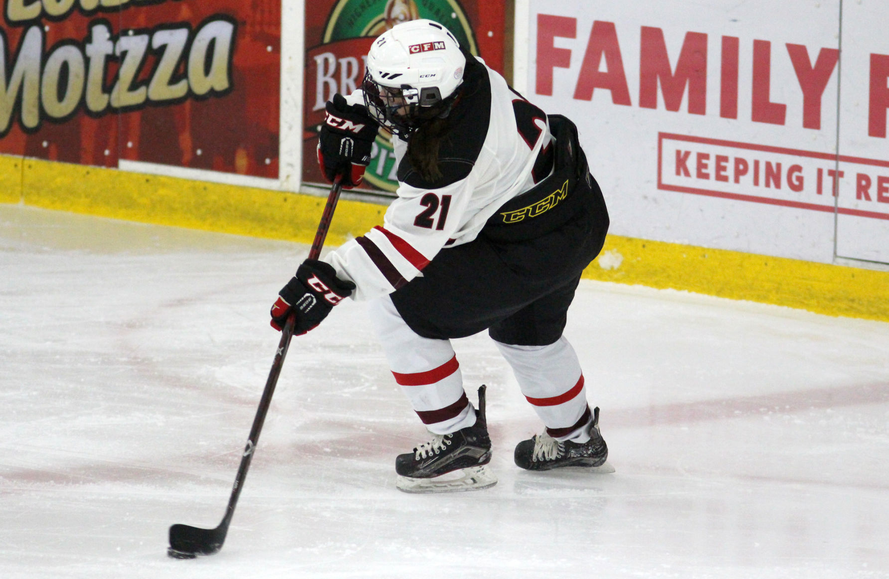 Medford at Chippewa Falls/Menomonie girls hockey 1-30-20